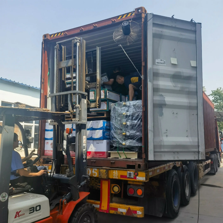 Skond inorema nhengo dzeRori - Dhiraivha iri nyore, inovimbwa pese pese!